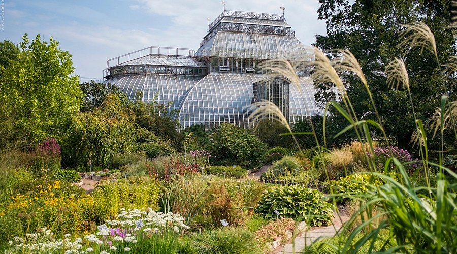 Ботанический сад Петра Великого